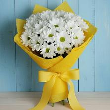 Букет цветов из:  Хризантемы в Тейково