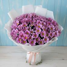 Букет цветов из:  Хризантемы в Тейково