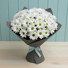 Букет цветов из:  Хризантемы в Тейково